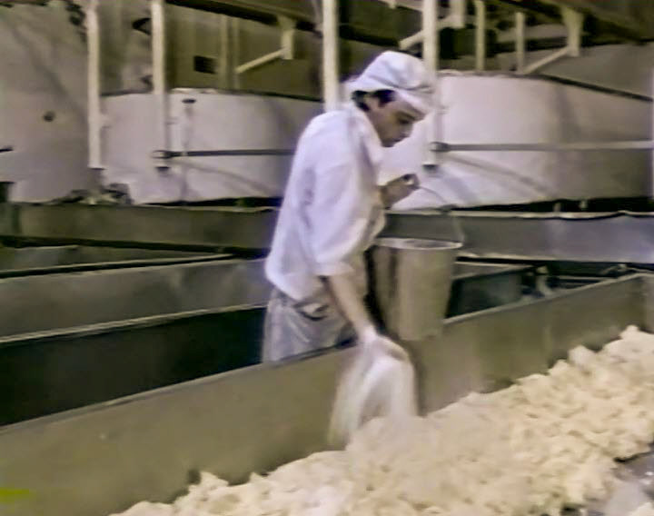 1989 Reece's Creamery-Cheshire Cheese Production-breaking up and salting