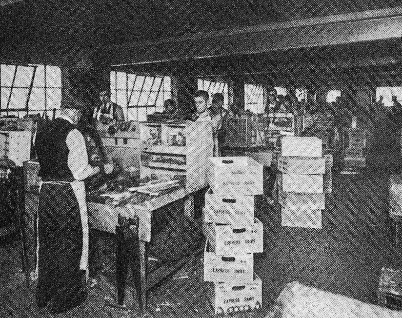 1930's Cricklewood-Carpenters' Shop. 'A peep behind the scenes of the Express Dairy, Claremont Road, Cricklewood - The largest dairy in Great Britain' (From 'While London Sleeps' booklet.