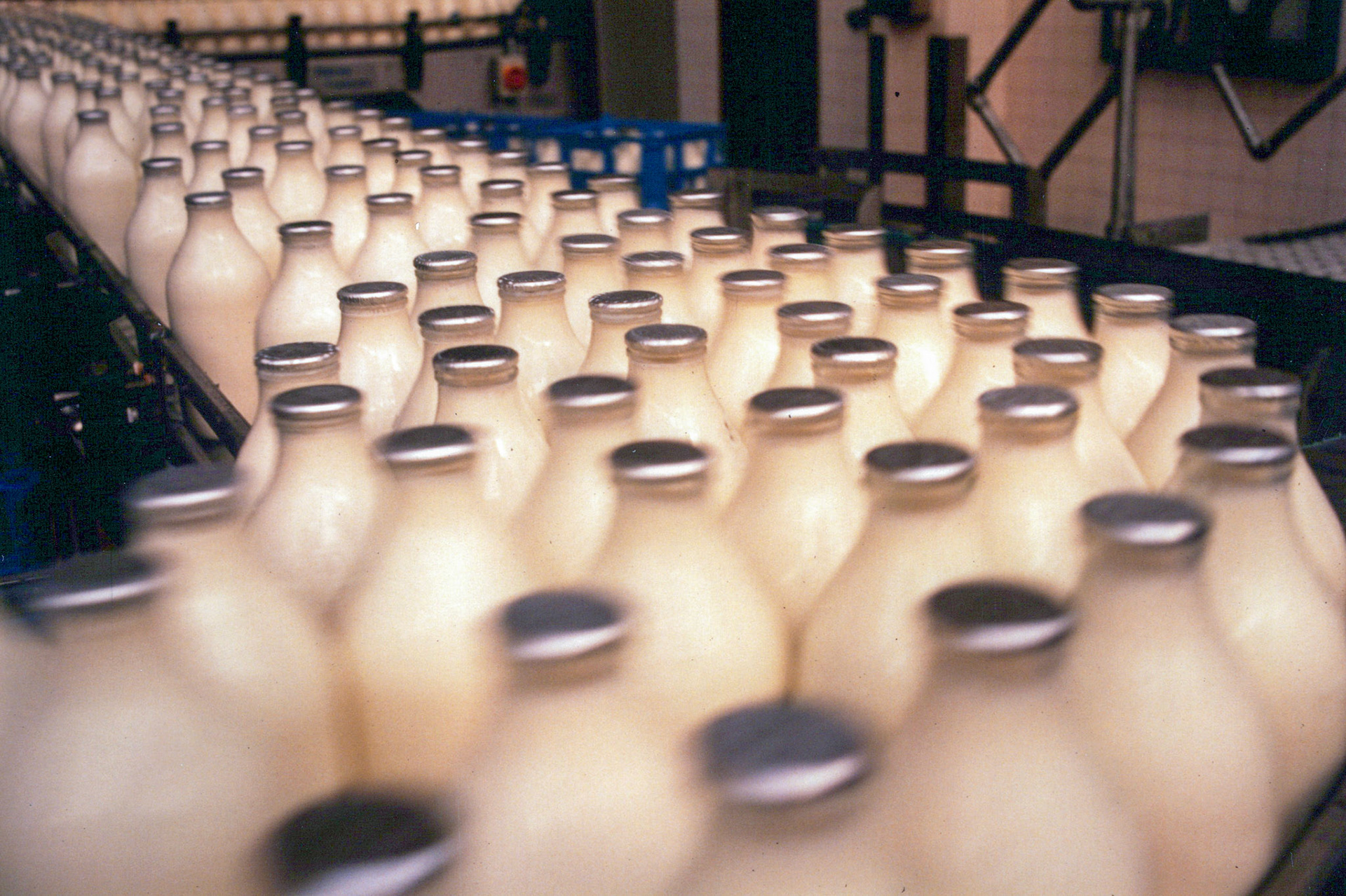 1980's 'Pintie' bottles on the line