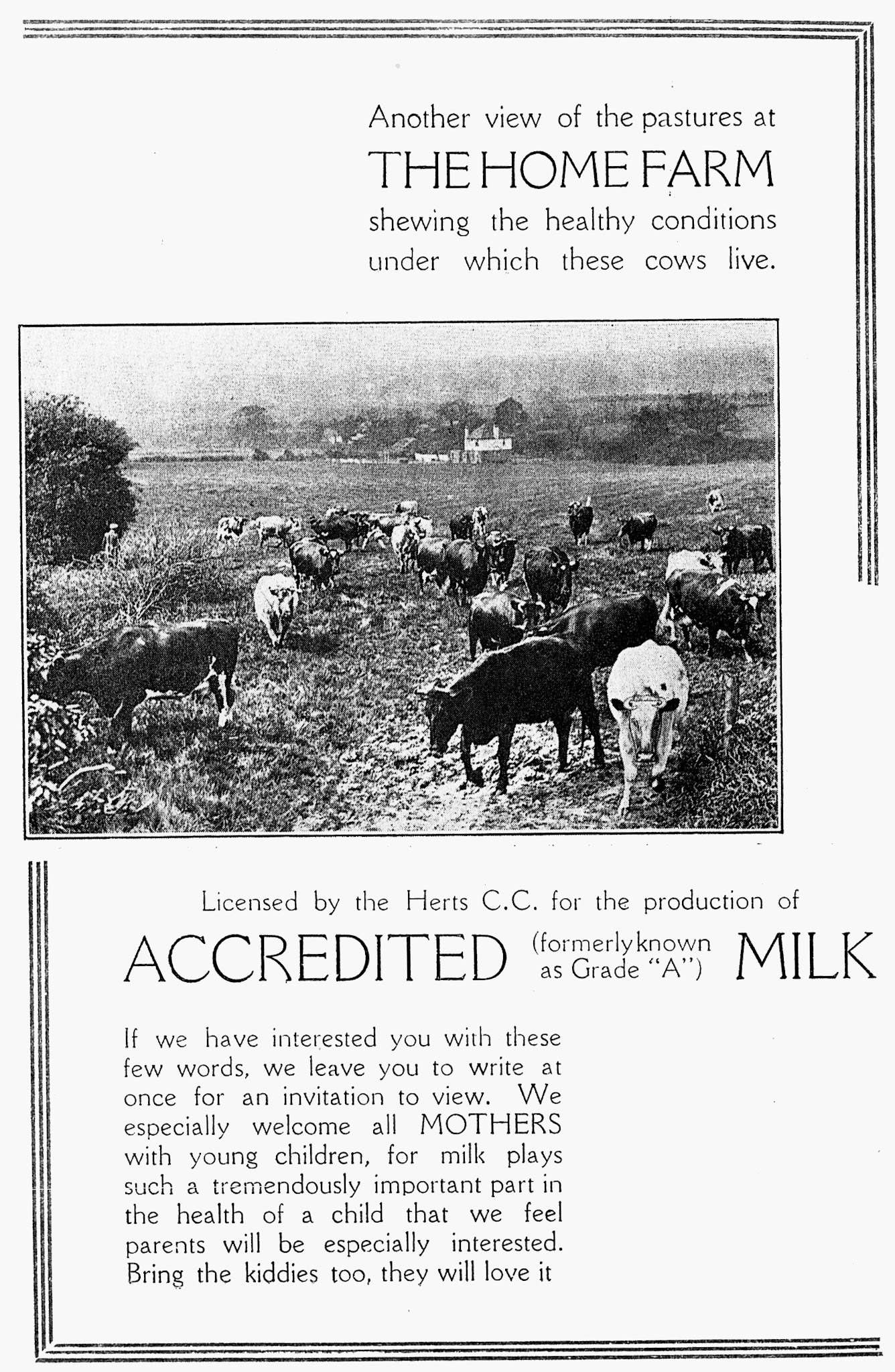 1950's A1 Dairies leaflet promoting their farms- (Courtesy Paul Smith)