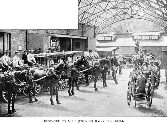 1895 Express Dairy-despatching milk from Hampstead Depot. (Courtesy Mary Evans Picture Library)