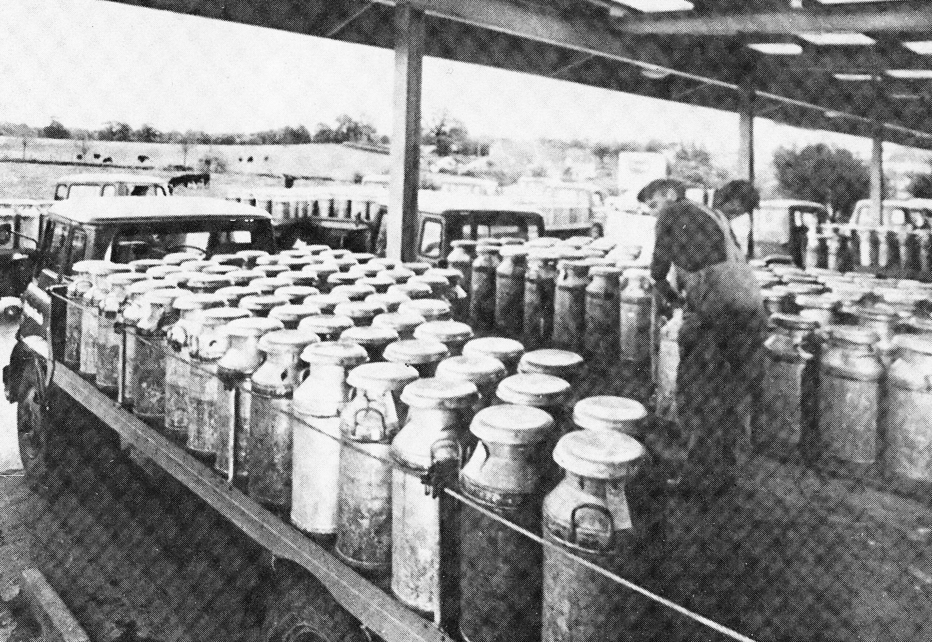 1972 Chard Junction MMB Creamery, churn reception. (Insert in MMB Magazine, 1983 Sept-Oct, courtesy Andy Wallis)