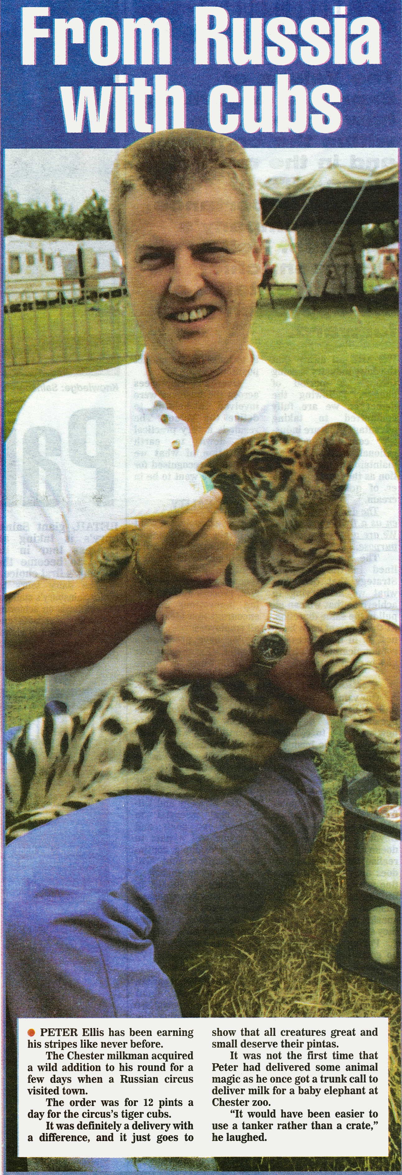 1998-Chester milkman Peter Ellis supplies milk for circus tiger cubs. (Courtesy August Express News, Mark Hudson)