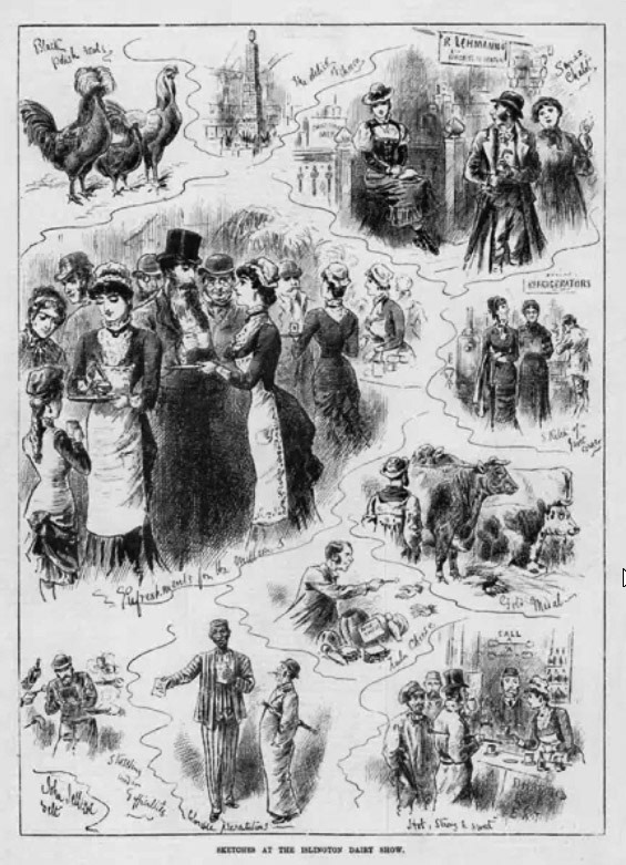 1880 Islington Dairy Show, engraving) by John Jellicoe. The Illustrated Sporting and Dramatic News, 6 November 1880. (Courtesy Look and Learn / Illustrated Papers Collection)