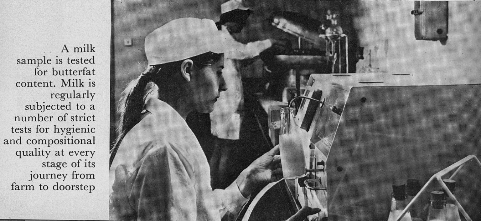 1973 'Milk to Market' Illustrations by Stanley Baker - Dust Jacket