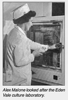 1960's Alex Malone looking after the culture laboratory. from 'William Horner and His Creamery' by Jill King 2012