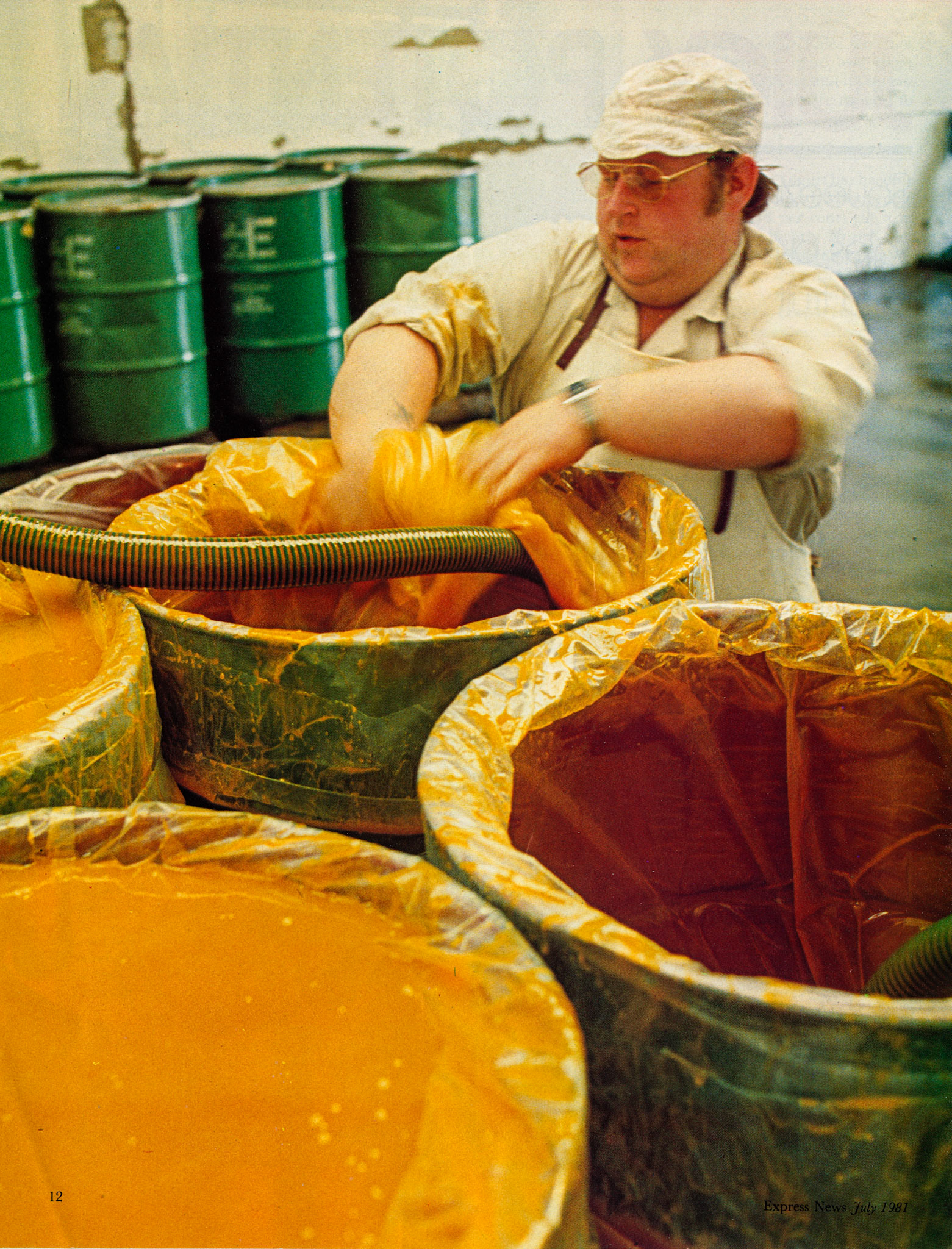 1981 Fruit Juice production