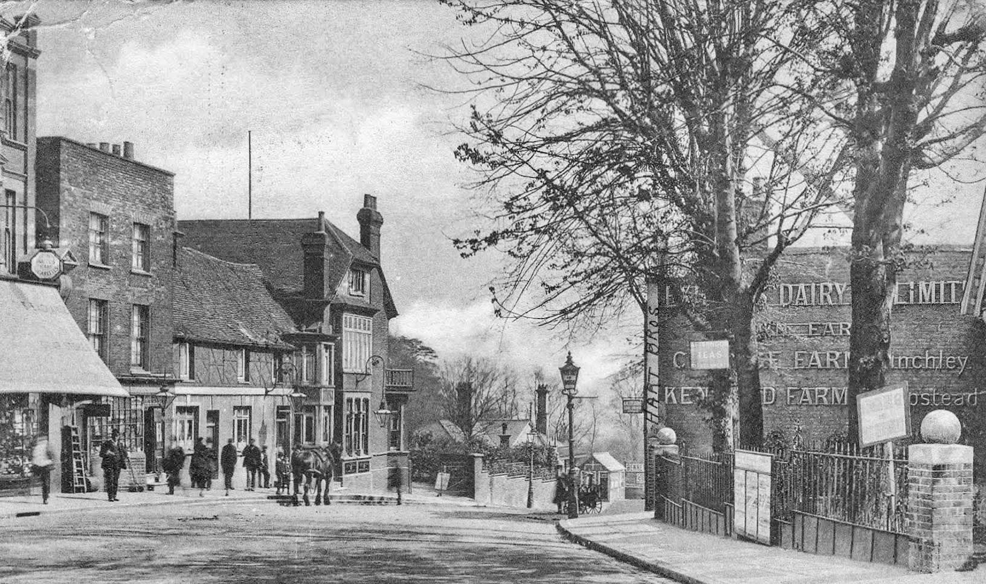 1900s? Muswell Hill depot on the right, also advertising College Farm and Kenwood Farm (Courtesy Express Dairy Memories FB)