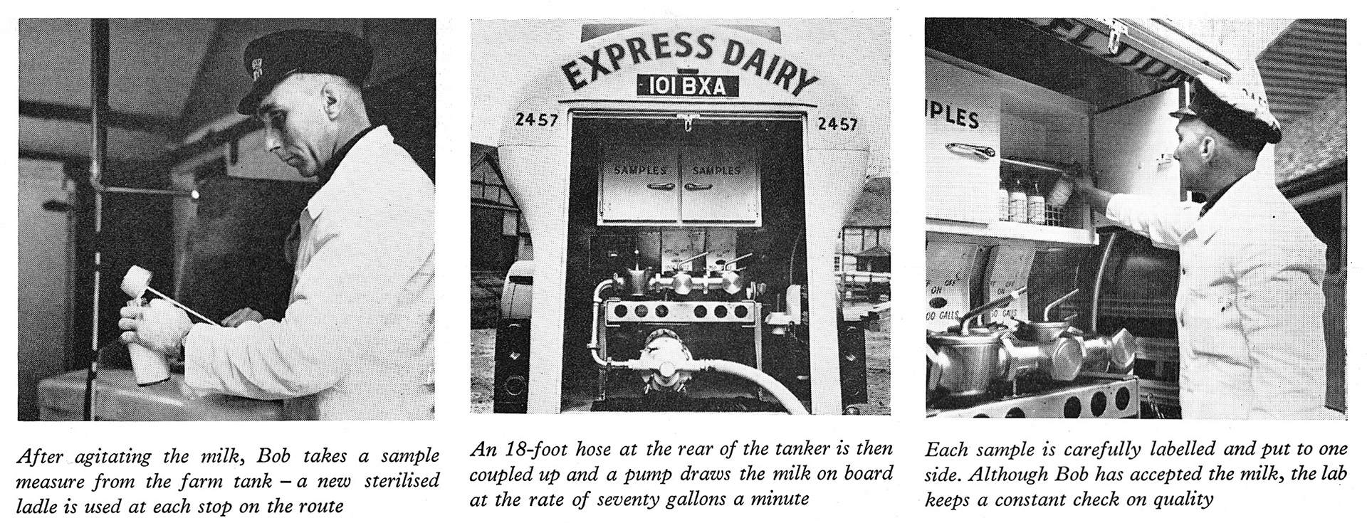 1961 First Express ex-Farm 1750 gallon bulk milk tankers-Bob Brownsell demonstrates the procedure on the farm. Roger Frost comments "Those farm collection vehicles had massive batteries on them to power the onboard electric pump." (Express News Summer)