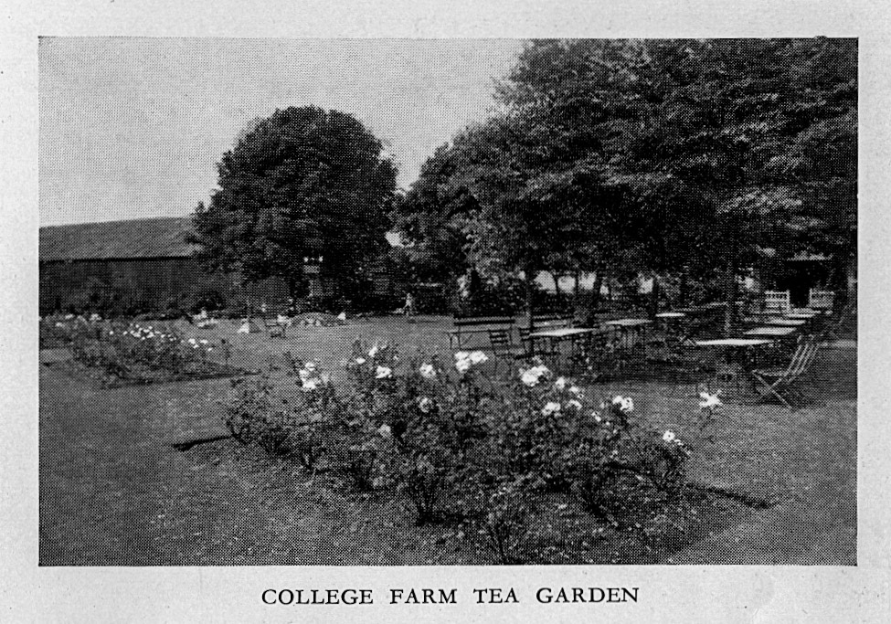 1954 College Farm Tea Garden. (Express Salesman's Manual Fourth Edition)