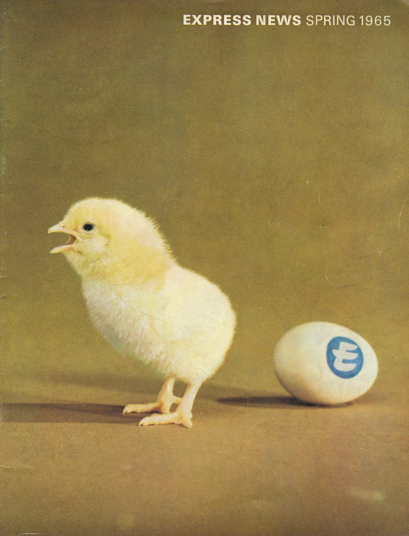 E eggs for Easter