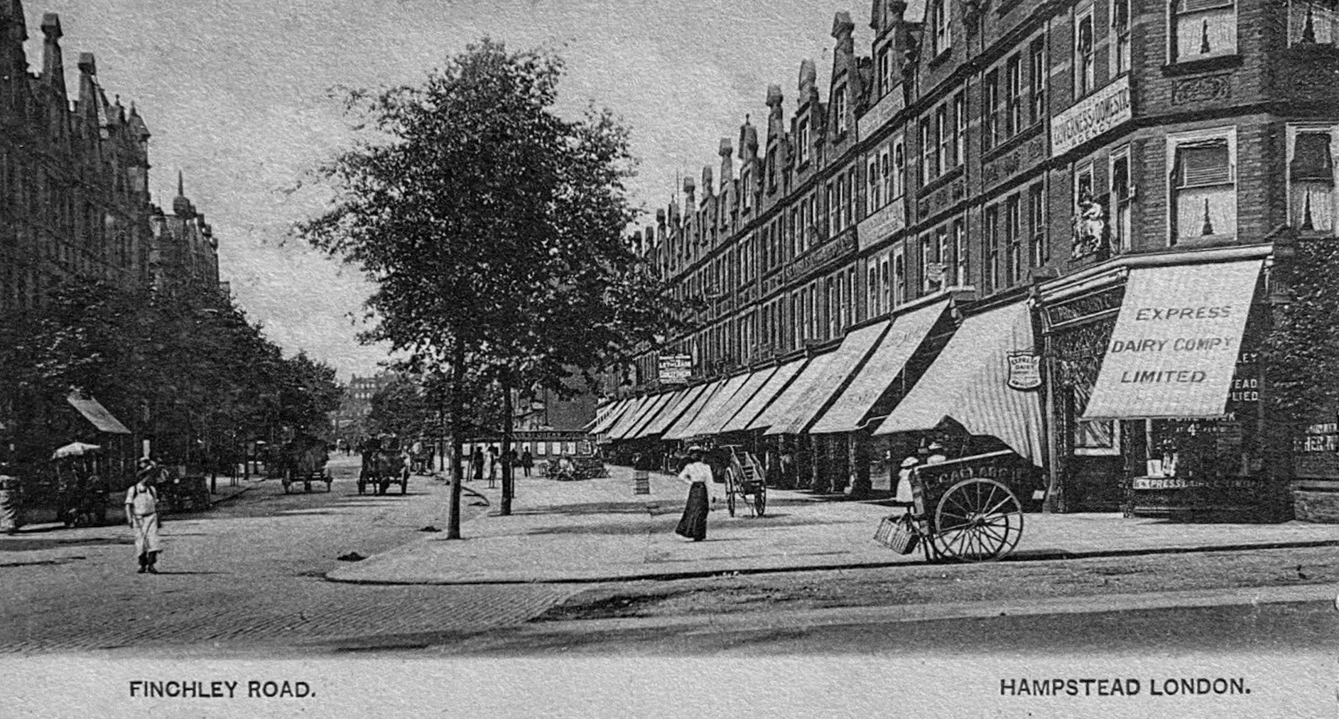 1905 Express Dairy Shop, Finchley Road, Hampstead  (eBay)