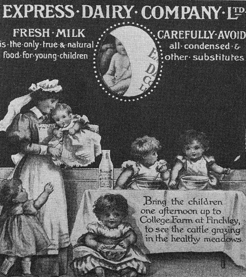 1900's - Illustration from 'Milk for the millions'
