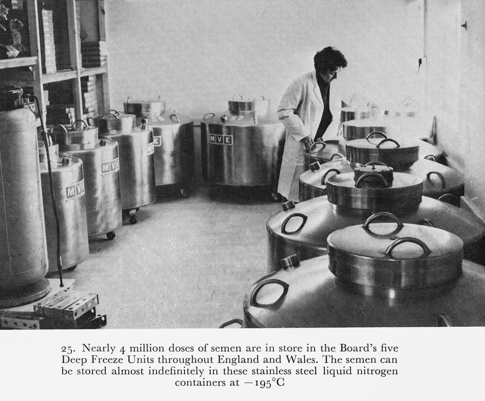 1973 Illustrations from 'Milk to Market', Stanley Baker
