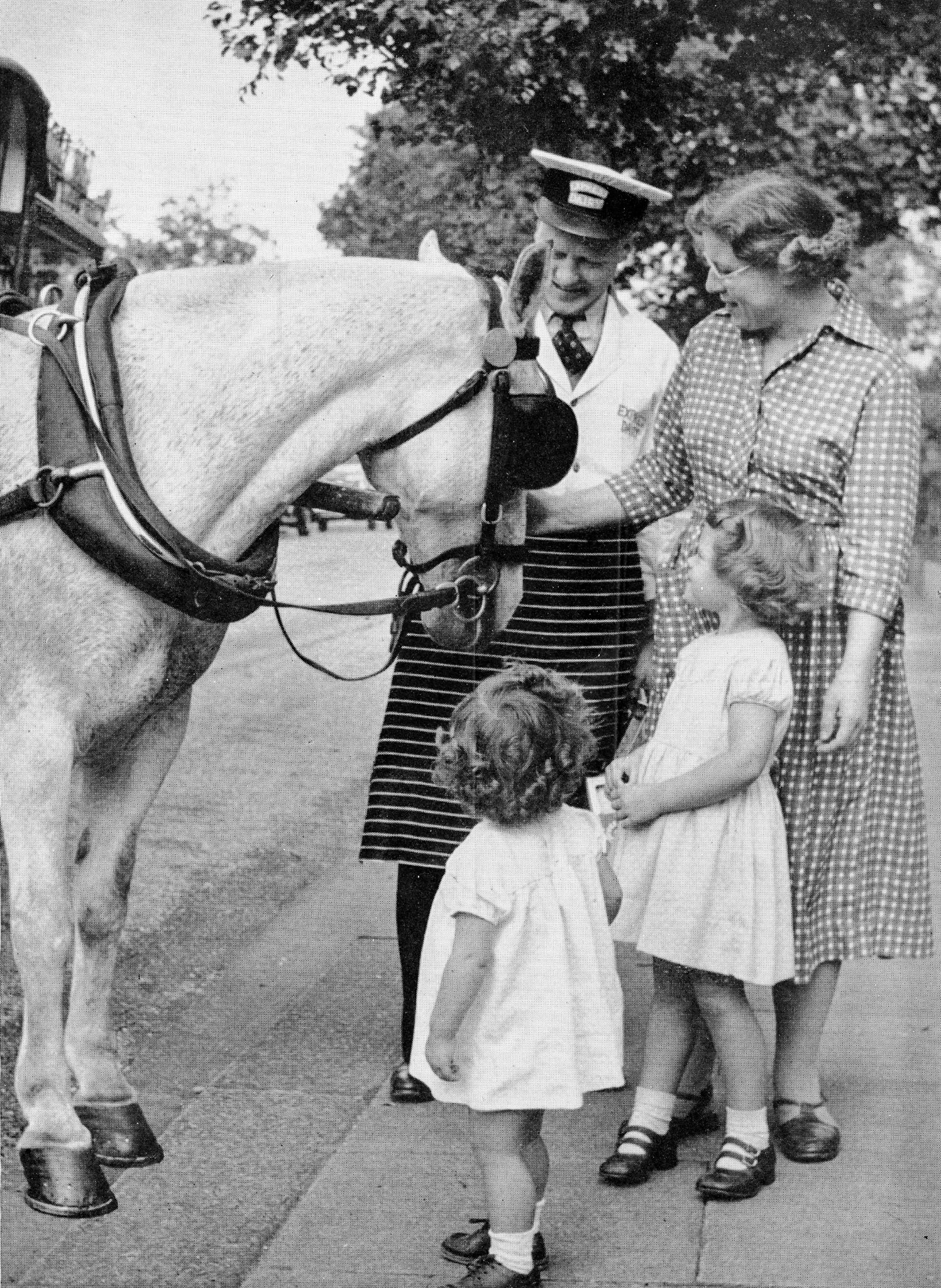 1950's? Ideallic image of an Express horse on its roound, admired by a customer and her children. (From Express Story 1864 - 1964)