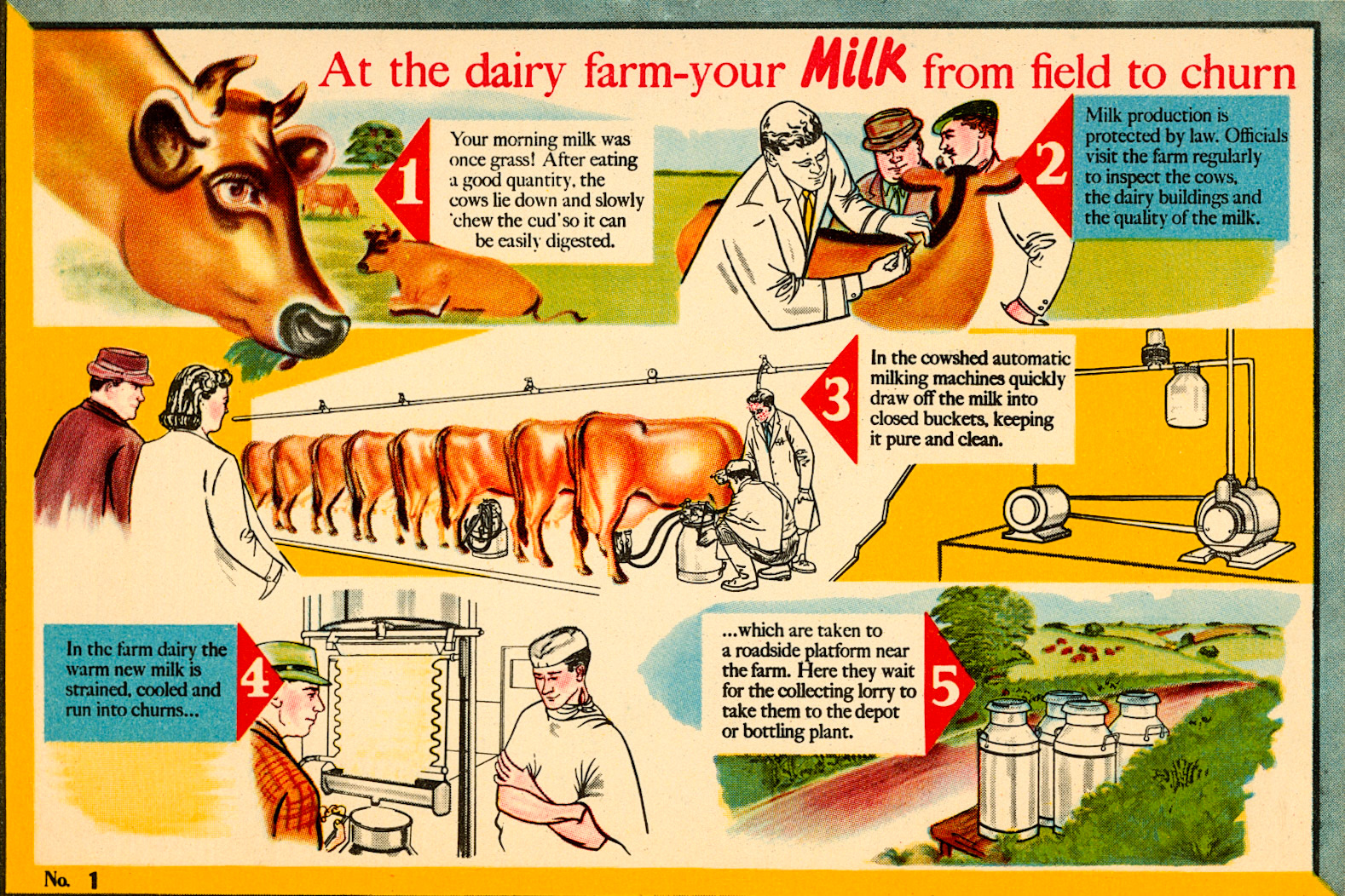 1960 ? The Story of Milk in Pictures