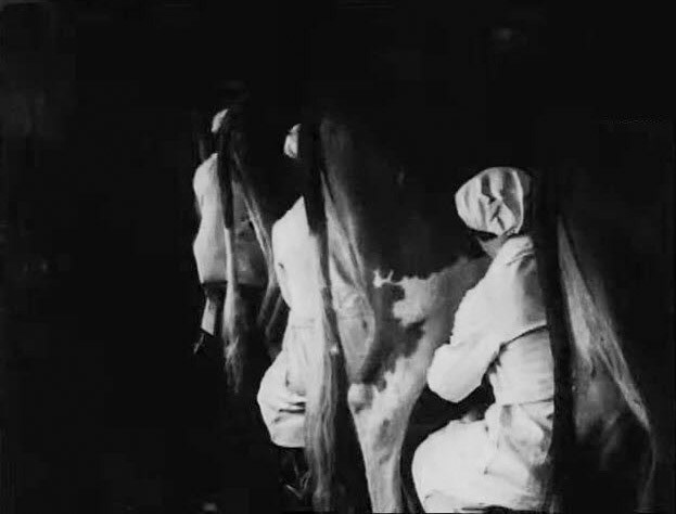 Milk Production Story (1920-1930) - from the cow to the baby's bottle. British Pathé. Milkmaids, milking cows at dairy farm in Britain.