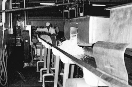 (Courtesy Joe Lyons)