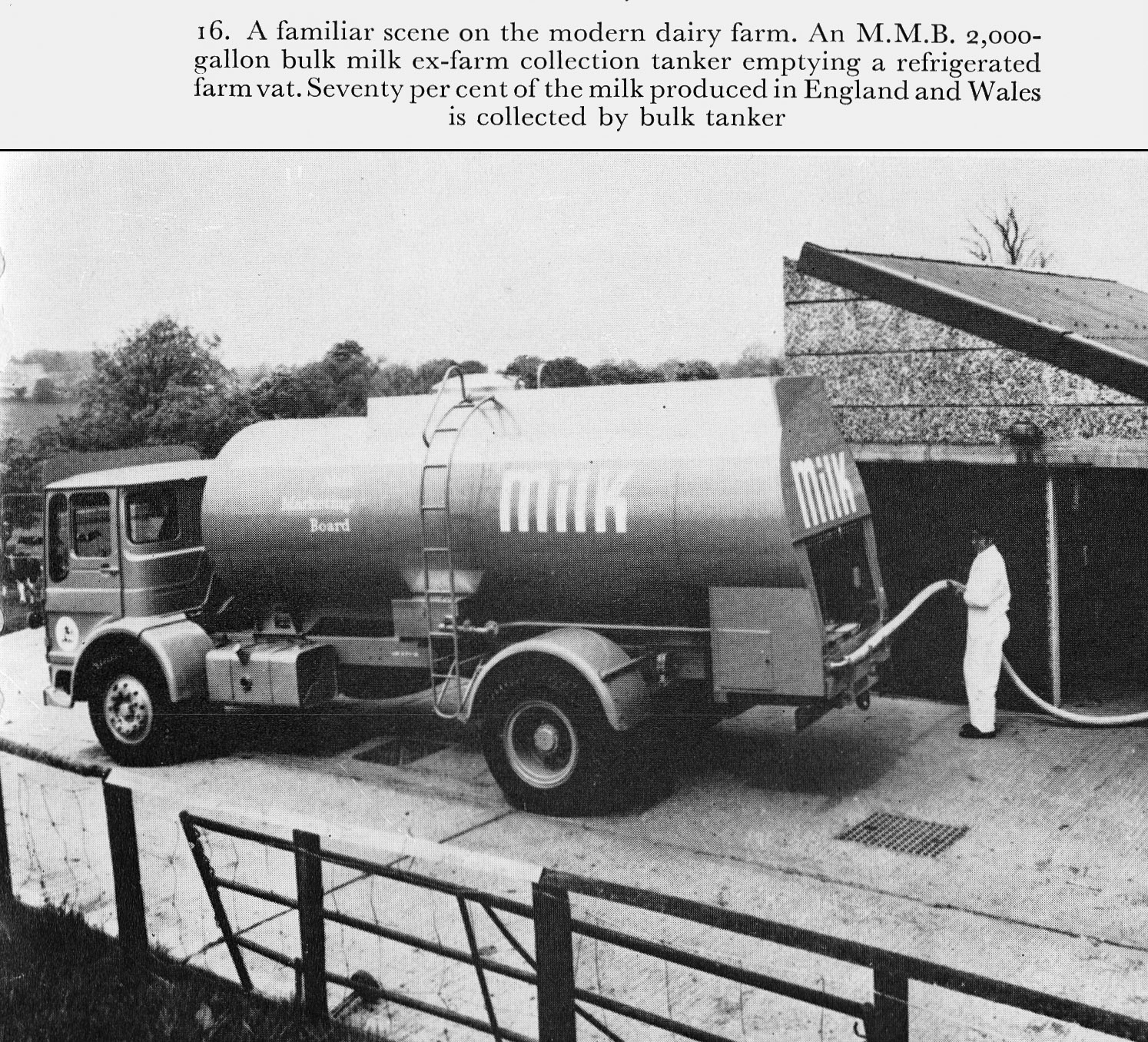 1973 Illustrations from 'Milk to Market', Stanley Baker