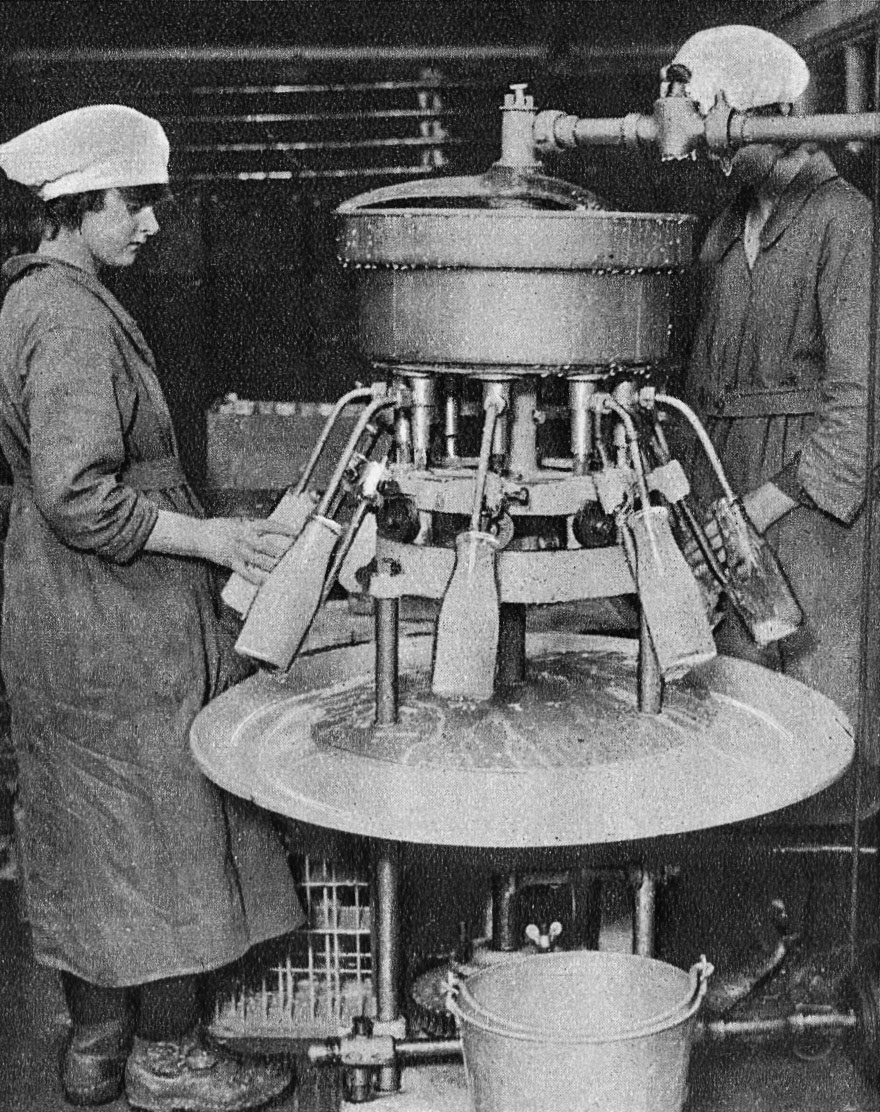 1940's College Farm. "At work at a Model Dairy Farm, How milk is bottled". (Express Dairy Tales Collection)