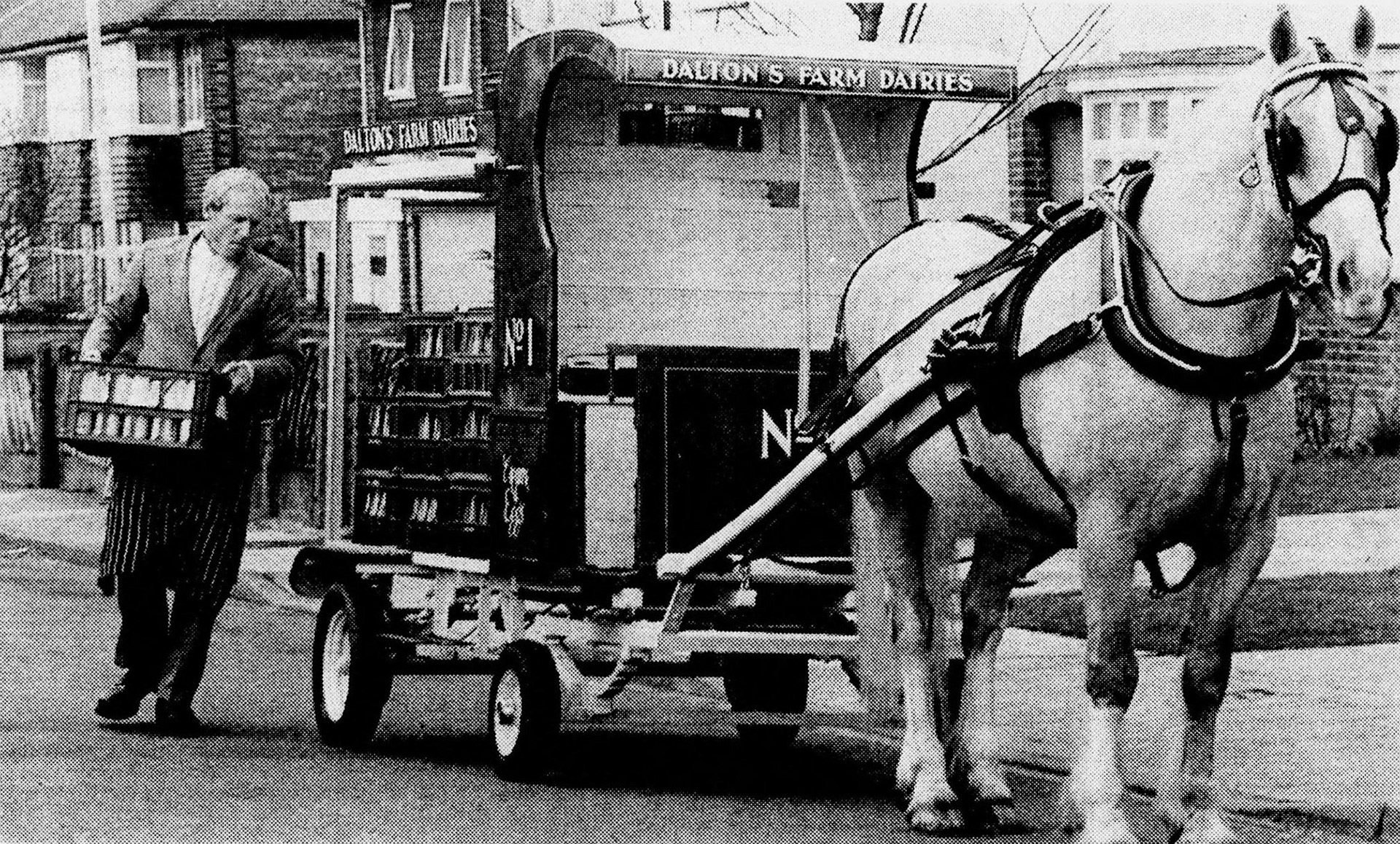 1986 Kevin Avery says "Daltons Farm Dairies Horse and Cart milk float was brought out of mothballs for a day..." Sue Vella comments "Roy and his mare-I think was called Palo who worked the milk round. She went on to produce a wonderful youngster called Esme, who took over from her. The dam came out of Southall market, she was a really good mare. Roy a fantastic horseman."