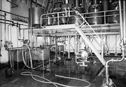 (Courtesy Joe Lyons)