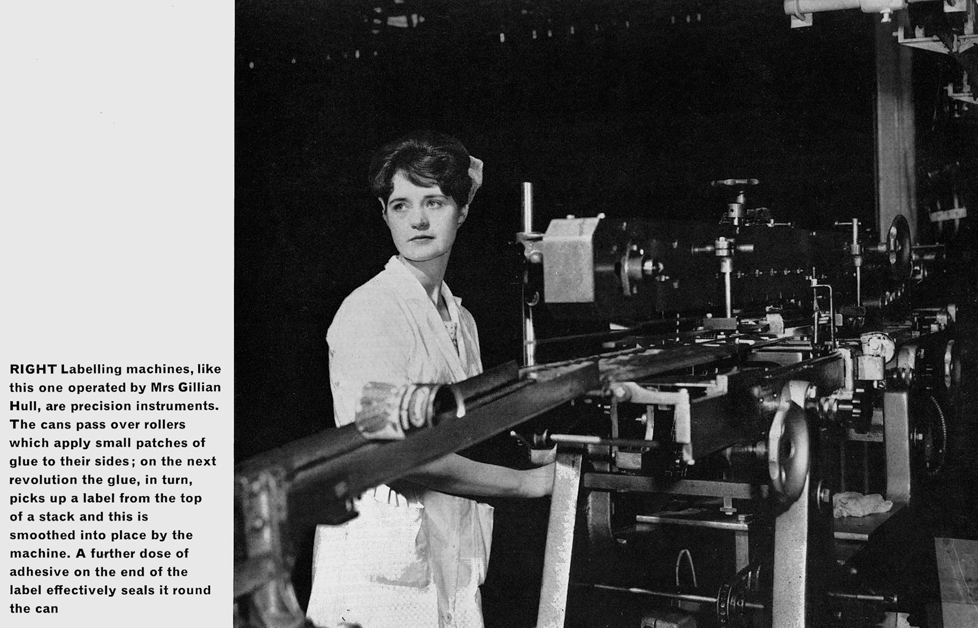 1963 Goldhanger Fruit Farm, Essex. Mrs Gillian Hull operating the labelling machine. (Express News Autumn)