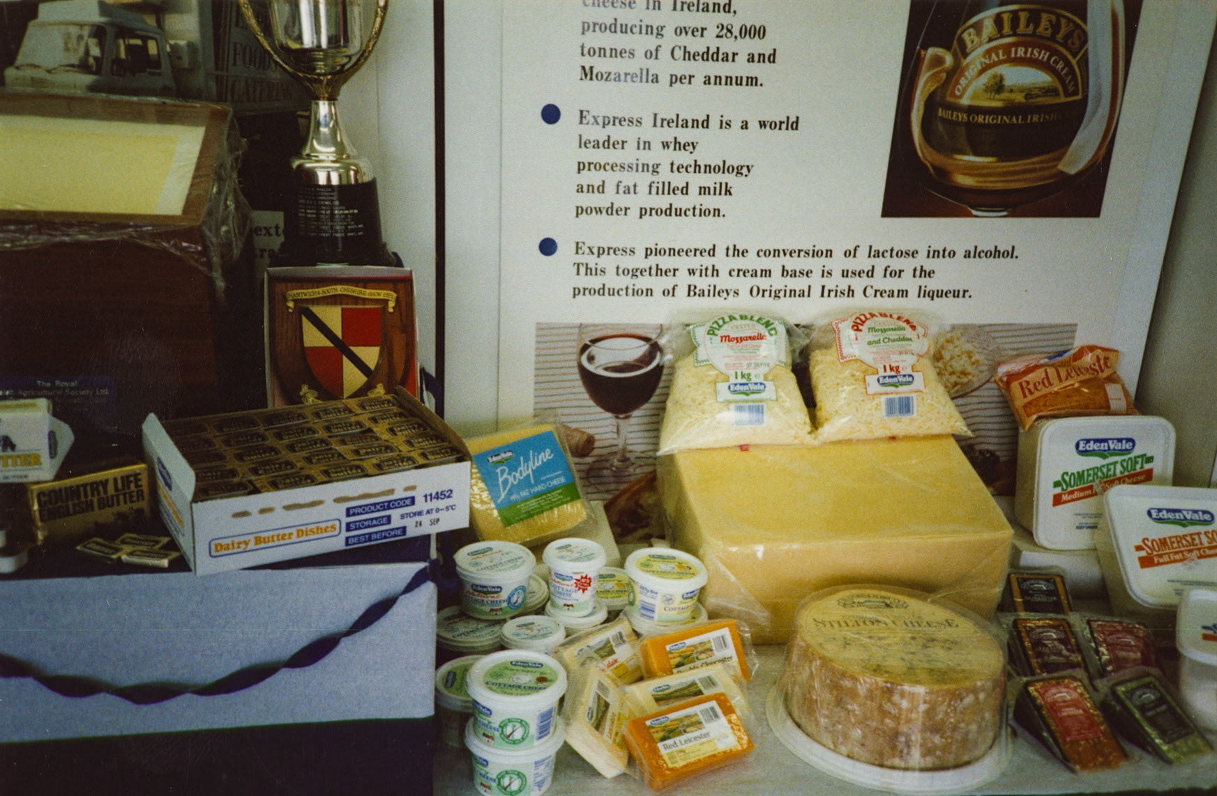 1991 Honiton Show-Black Diamond Trophy. (Courtesy Soo Rose-Cook)