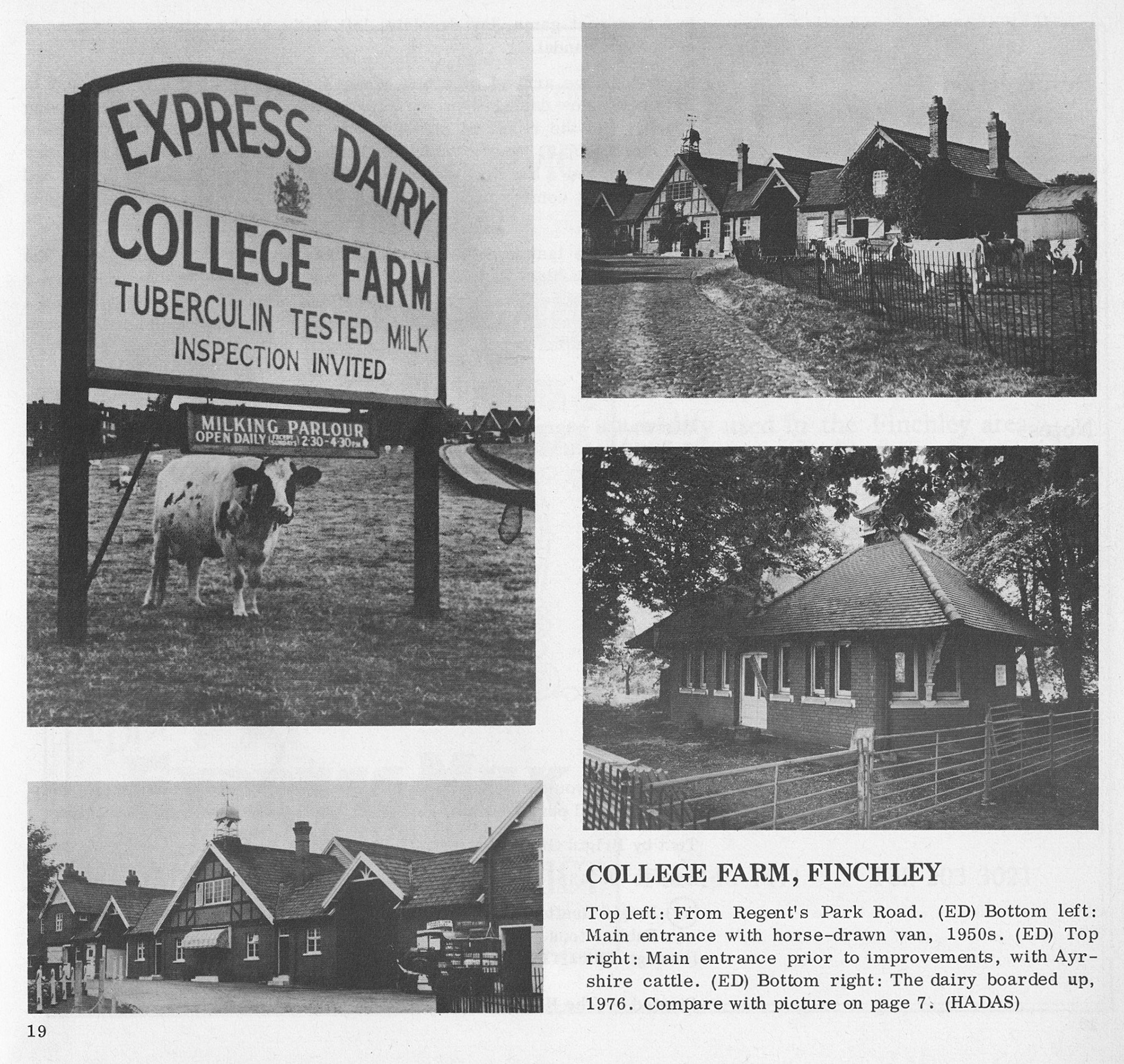 1983 Milk for the millions - Brigid Grafton Green, Barnet Libraries Local History Publications