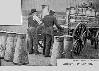 1910c 'Britain at Work' extracts - The Milk Industry. (Courtesy eBay Oldprints4all)