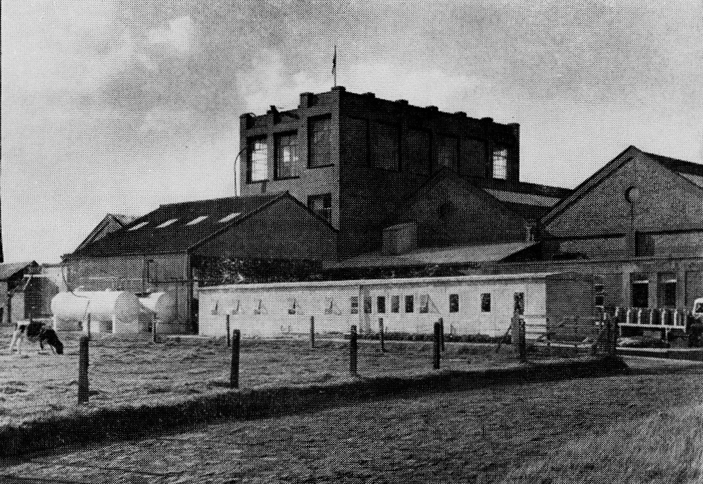 1962 Pipe Gate Creamery, employed 70 staff.  (Express News Christmas)