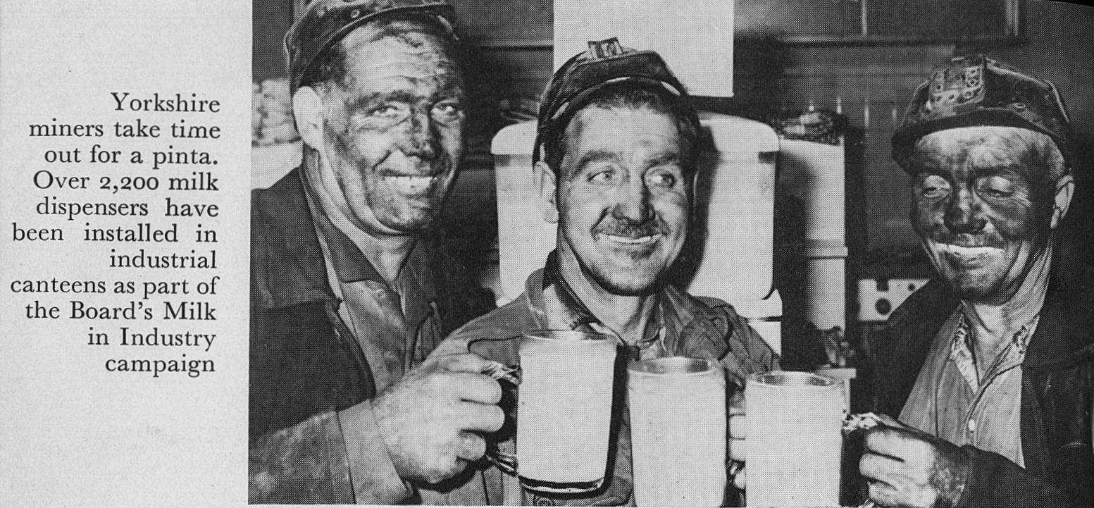 1960's 'Milk to Market' Illustrations by Stanley Baker - Dust Jacket