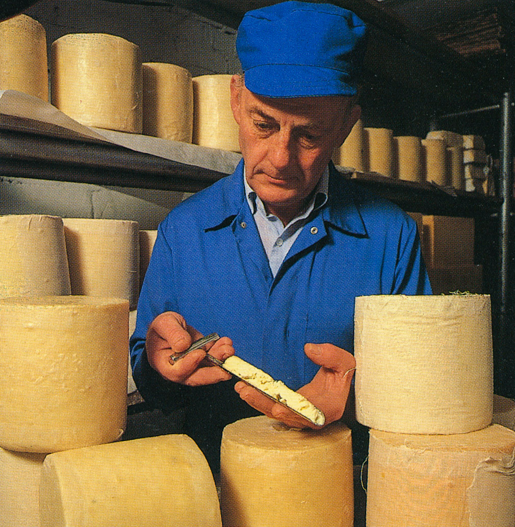 1988 Cheshire cheese being sampled at Reece's Creamery, now part of Express.