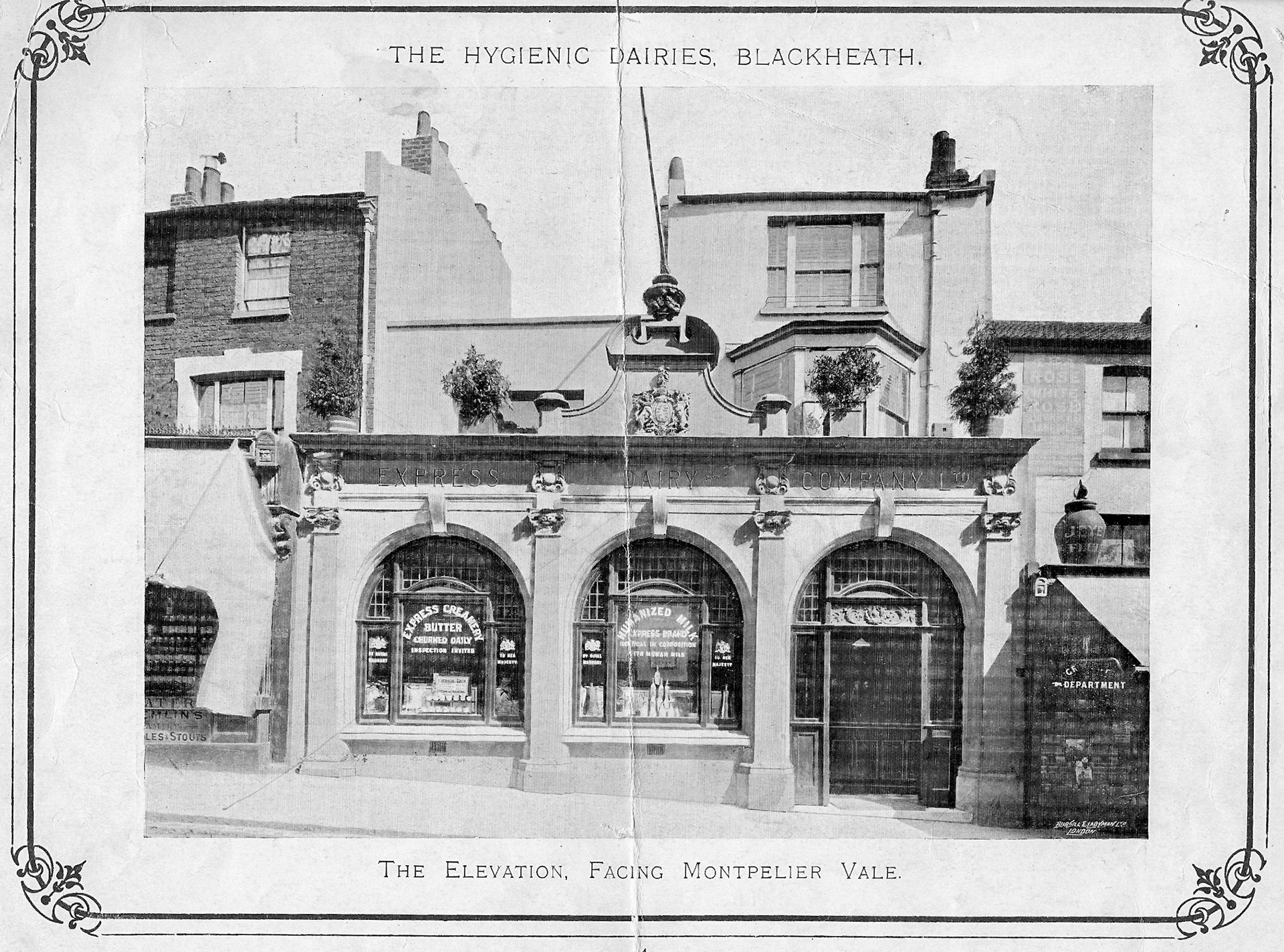 1900's? Blackheath Dairy. (Courtesy Brian Wastell)