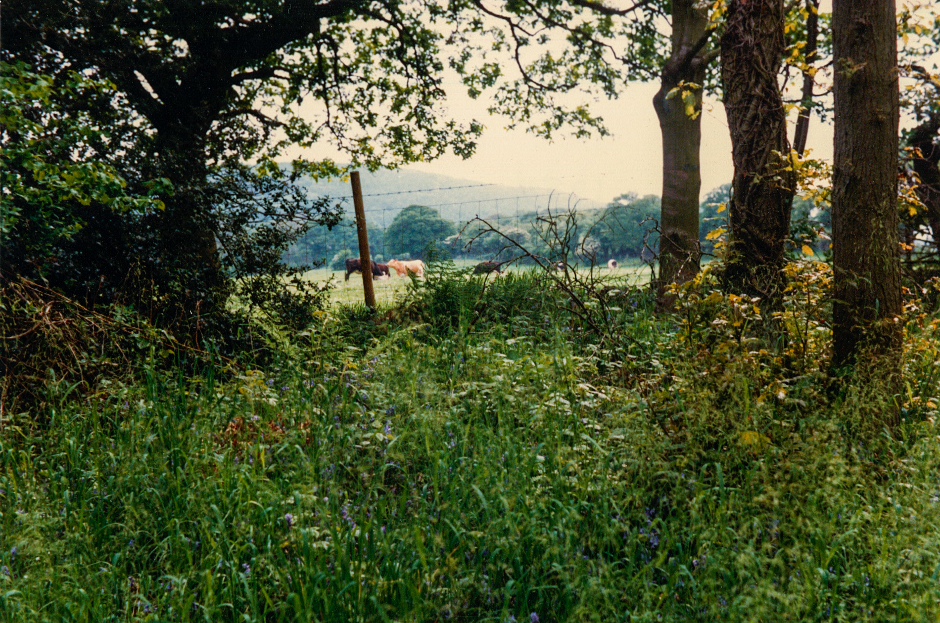 1980's Pontesbury Hill (Courtesy Joe Lyons)