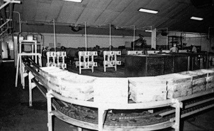 (Courtesy Joe Lyons)