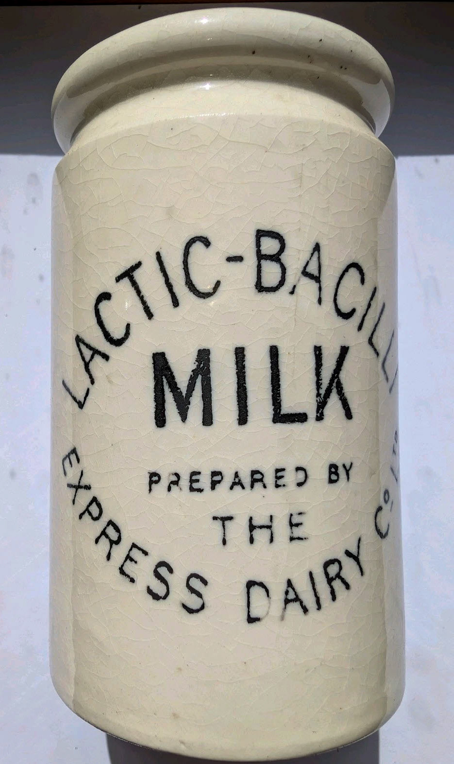 1890's? Lactic-Bacilli milk jar (eBay sale https://www.ebay.co.uk/itm/127364815725?)