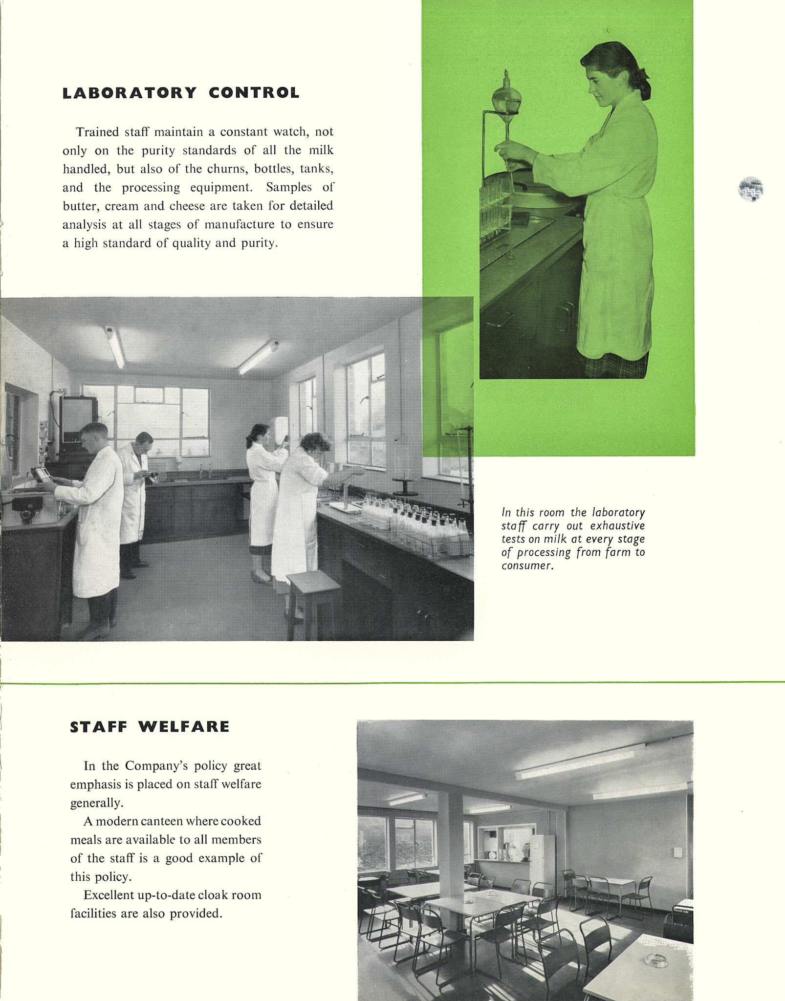1957 Hammett's Dairies brochure. Laboratory control and canteen. (Courtesy Michael Mitchell)