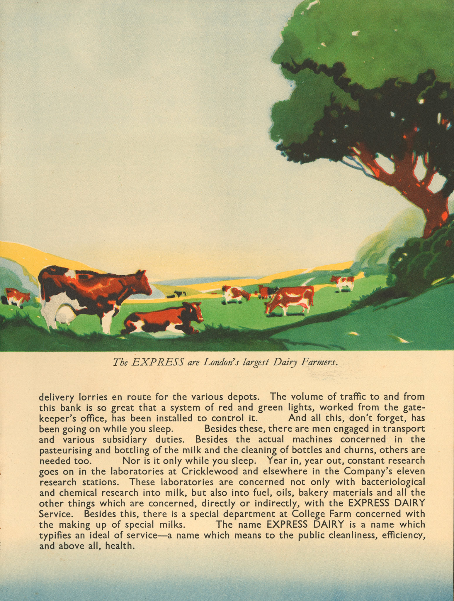 1930's 'While London Sleeps' Booklet