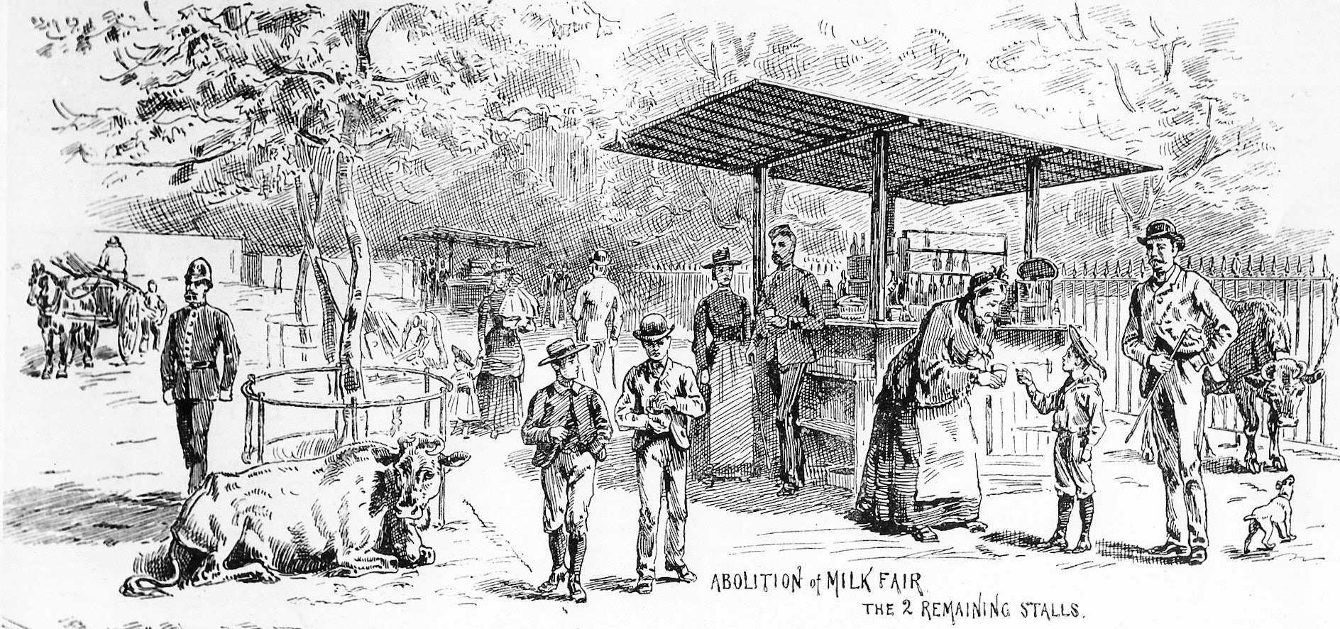 1885 The last 'Milk Fair' in St James's Park, London. (Courtesy Brian Wastell)
