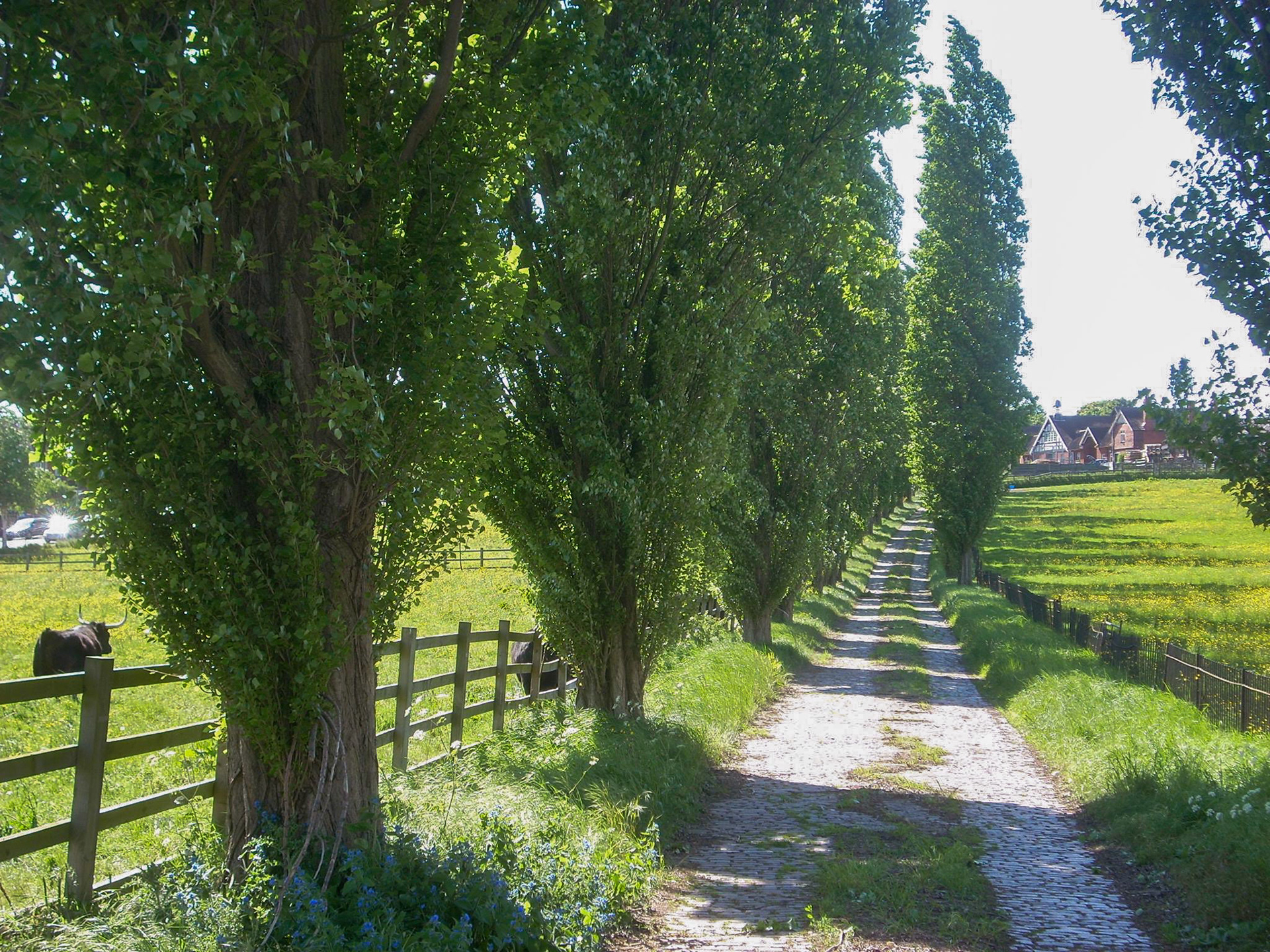 College Farm (Courtesy Barry Monks)