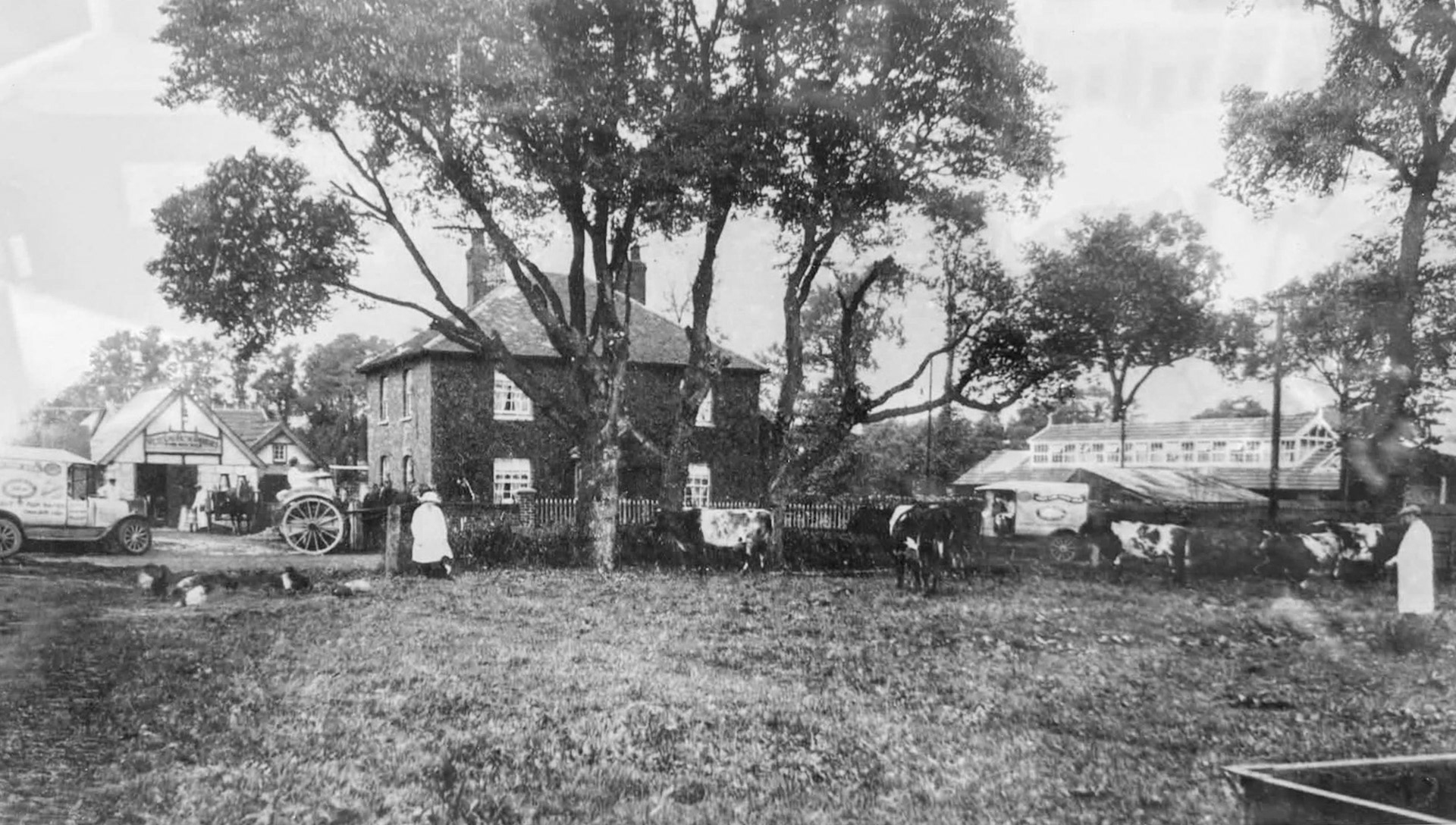 1920s West End Farm, Northolt. The caption reads "A busy scene at West End Farm in the 1920s when Francis Green was the owner. The farm as said to be three hundred years old and in 1920 consisted of 180 acres with extensive buildings. The building on the right is a cowshed. The farm was sold for building purposes in 1936 and all the farm buildings, including the house, have now been demolished. The grassed area in the foreground is now part of Yeading Lane." Kevin Chapman comments "The site was a Express Dairy for years, in the yard at rear. The house was demolished in the 80’s. Oak tree Court was then built in its place, shops and flats above.Jaycee Tools for years before they moved." (Courtesy Kevin Chapman)