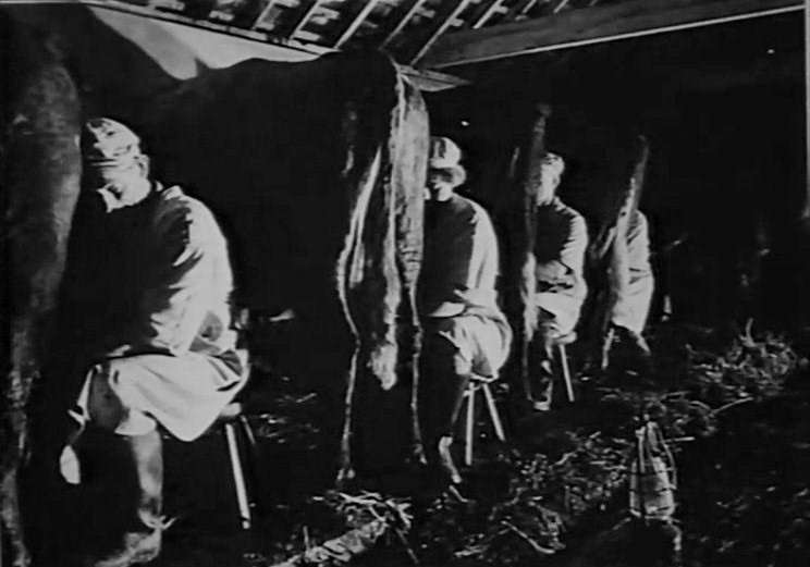 1920s Titus had to find more milk supplies, so offered farmers free churns and labels.(Express 125 Years video still)