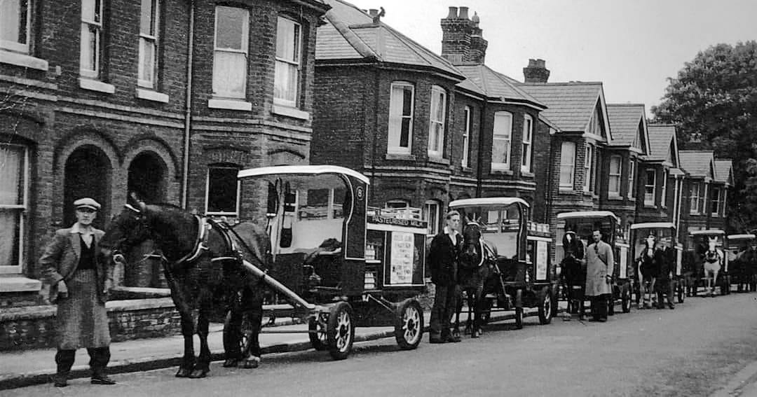1950's Lineup of horse-drawn floats. (Courtesy Mike Hall)