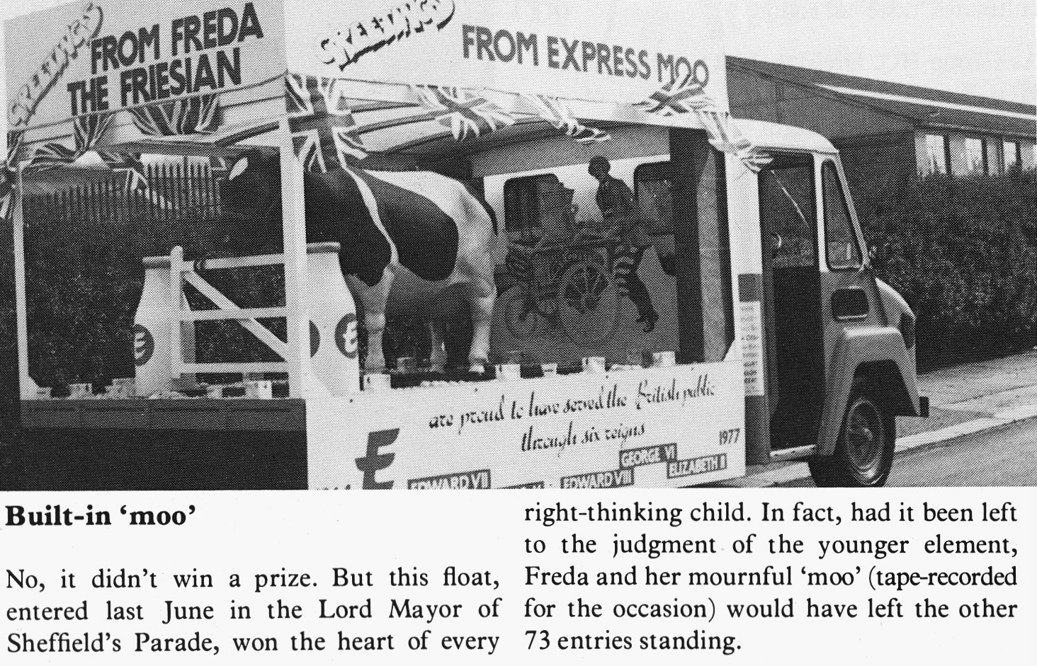 1977 'Freda the Friesian' at the Lord Mayor of Sheffield's Parade. Geoff Beal comments "Freda was in the bow window at Broadfield Road Sheffield. My uncle Bernard Edley was a manager there, and my brother Mick Beal was one of the Class 1 drivers. (Express News Autumn