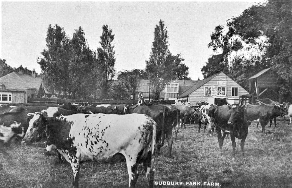 1930's? Sudbury Park Farm (Courtesy Nicole Leybourne, Harrow and surrounding areas past and present)