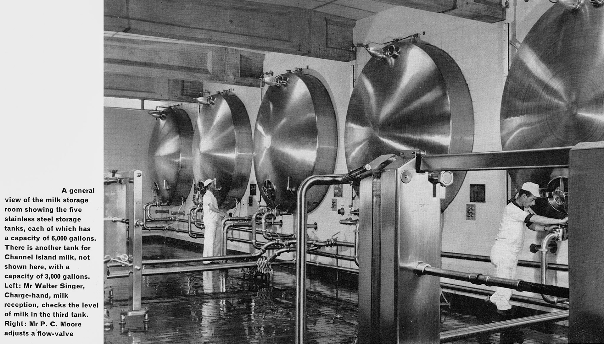 1963 Staplemead-extract from feature article-milk storage tanks, with Chargehand Mr Walter Singer and Mr P.C. Moore. (Express News Autumn)