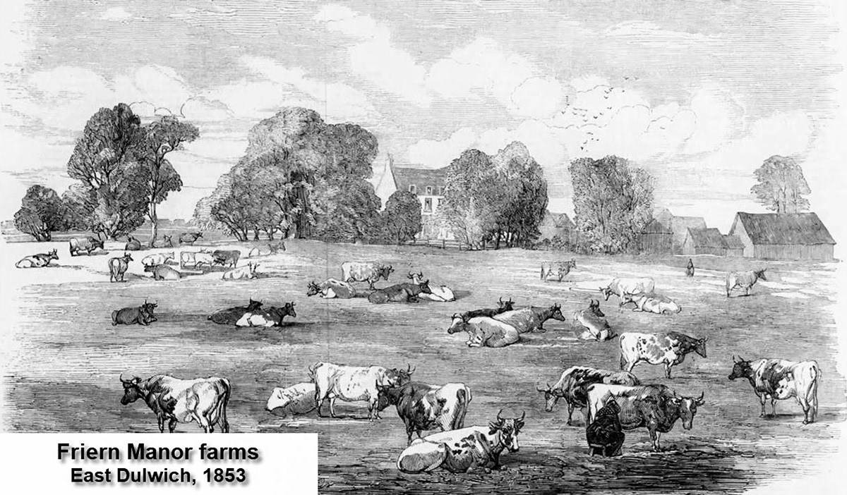 1853 London's milk also came from nearby farms, such as  Friern Manor Farms, East Dulwich-one of Express Dairy's farms of the period. (Courtesy 'On the Milk Train' video, Dr David Turner)