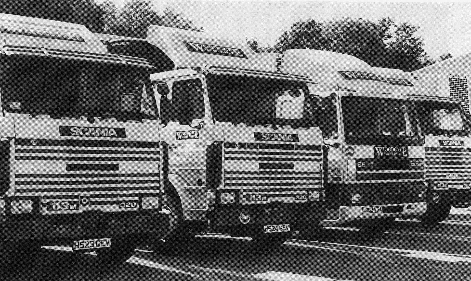 1990's "The Woodgate fleet". (Illustration from Sixty Years in Dairying-Molly Sale)