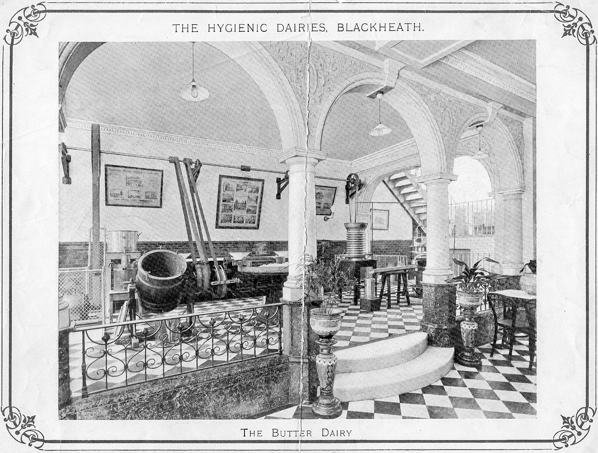 1900's? Blackheath Dairy. (Courtesy Brian Wastell)